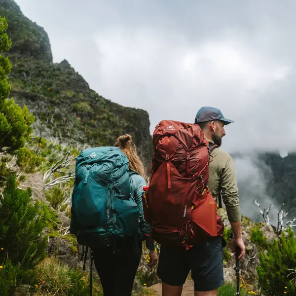 Two Gregory hiking backpacks