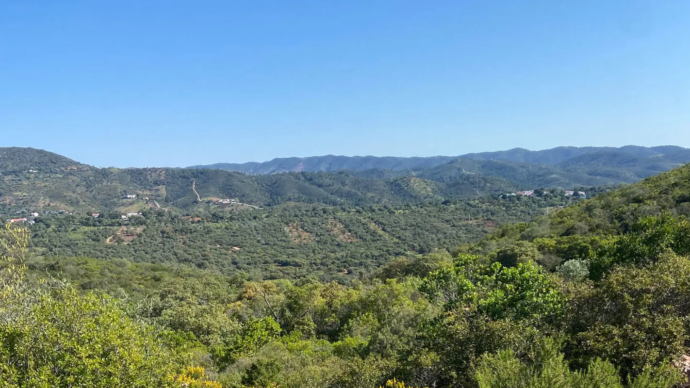 Green landscape of the Algarve Portugal