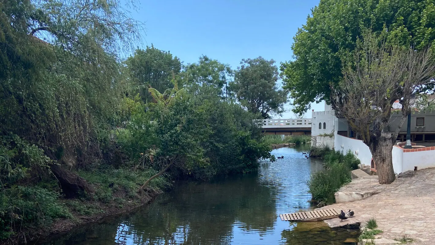 small, calm river sided by trees in Algarve