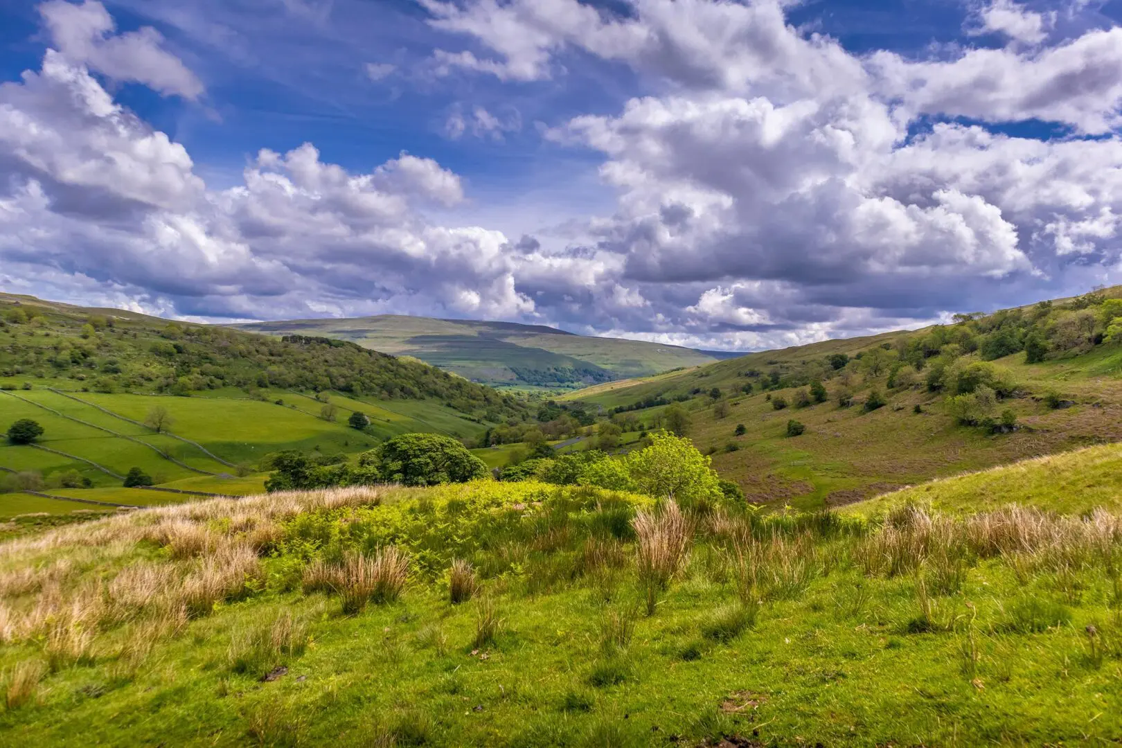 Green gras fields and hills under blue sky during daytime