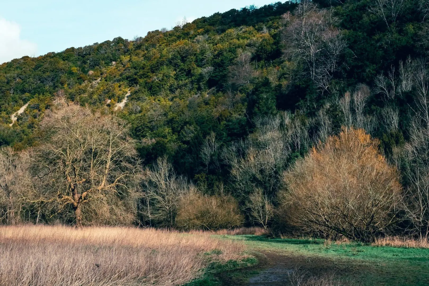 Hiking trail, green fields and hills with trees in background