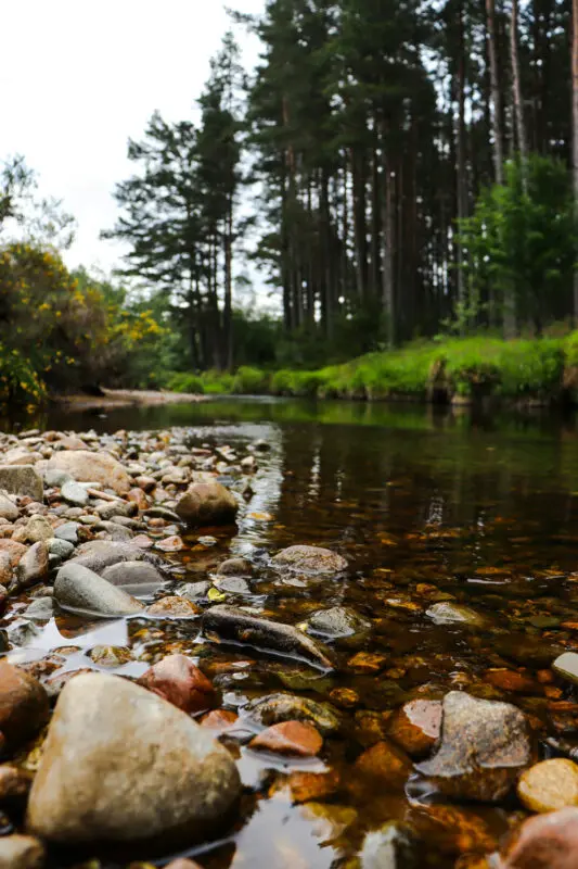 Low view of a river, pebbles in the foreground, Cairngorms National Park, Grantown-On-Spey, United Kingdom