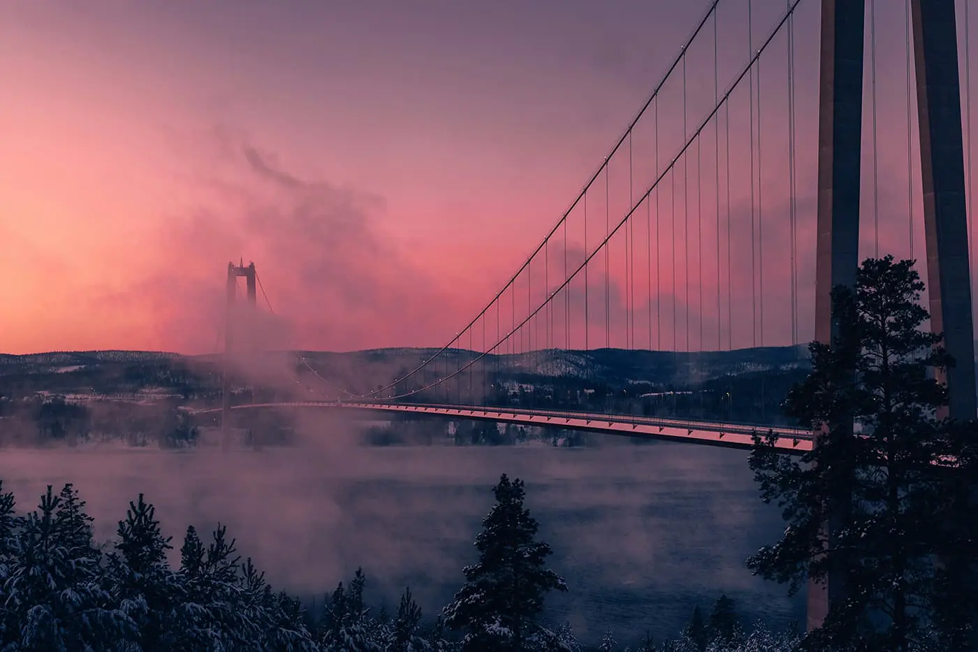 sunspension bridge during sunset