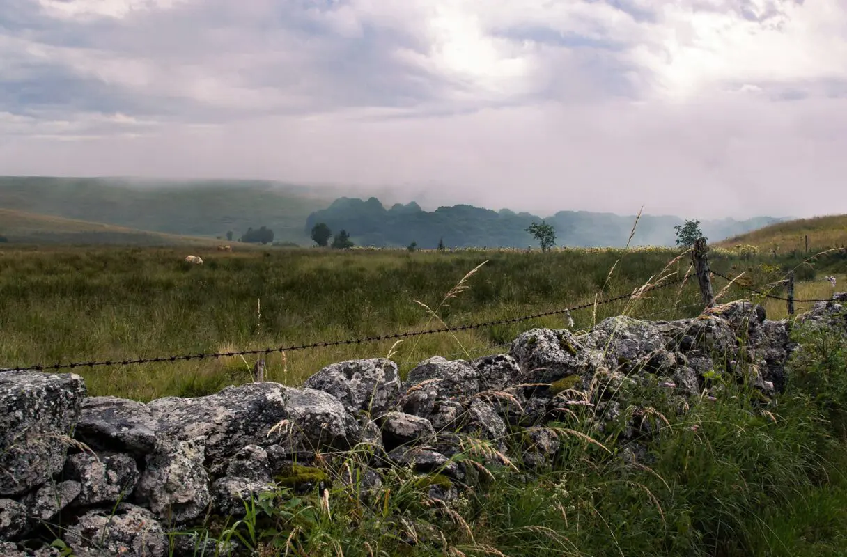 Grassy field with rocks and fence in the foreground near Aubrac, France