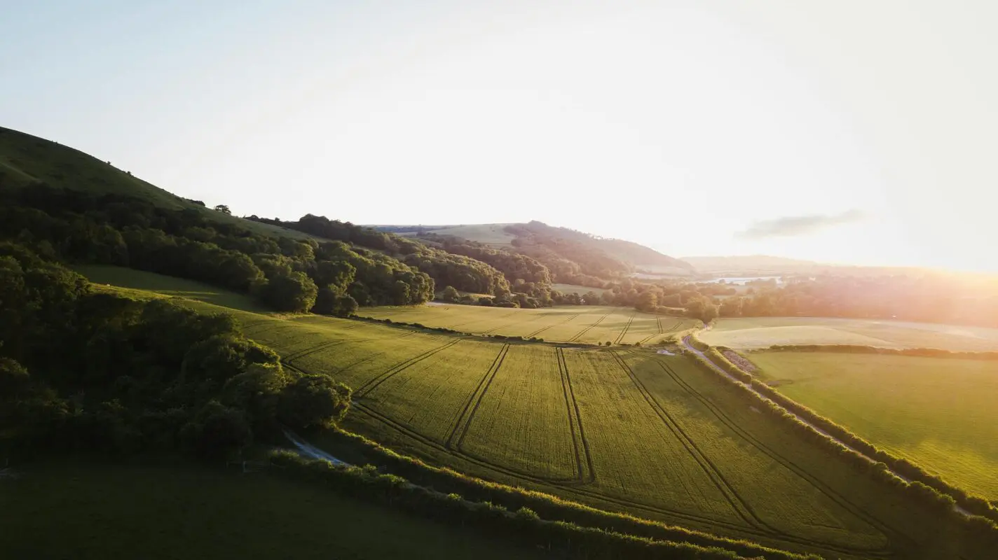 Green fields during sunset on an English summer evening under The Downs between Midhurst and Petersfield.