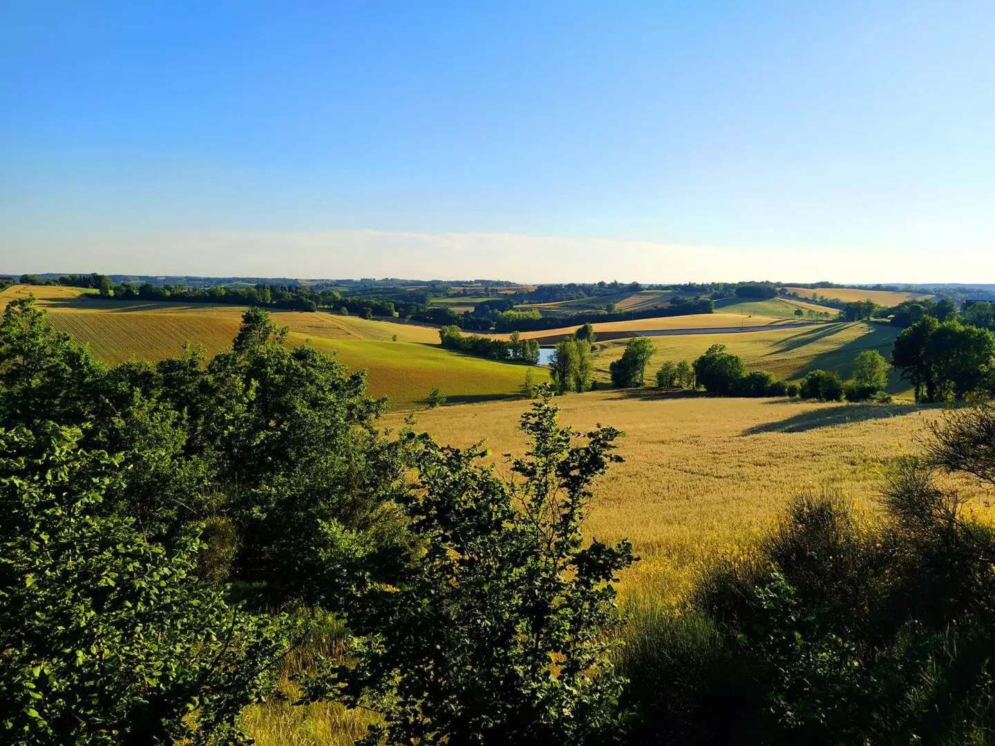 Panoramic view of French countryside, field and trees during sunny day