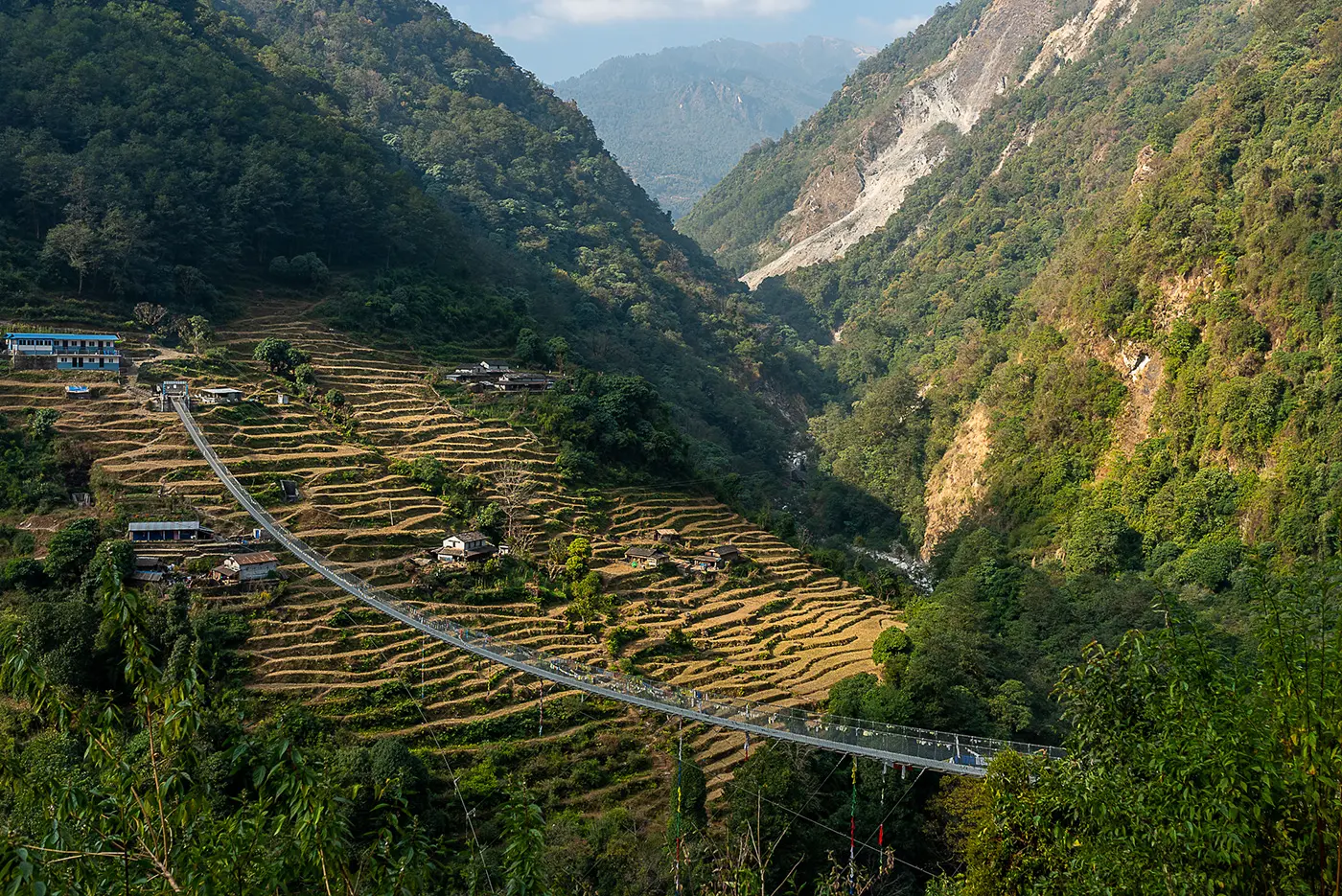 hanging bridge over valley