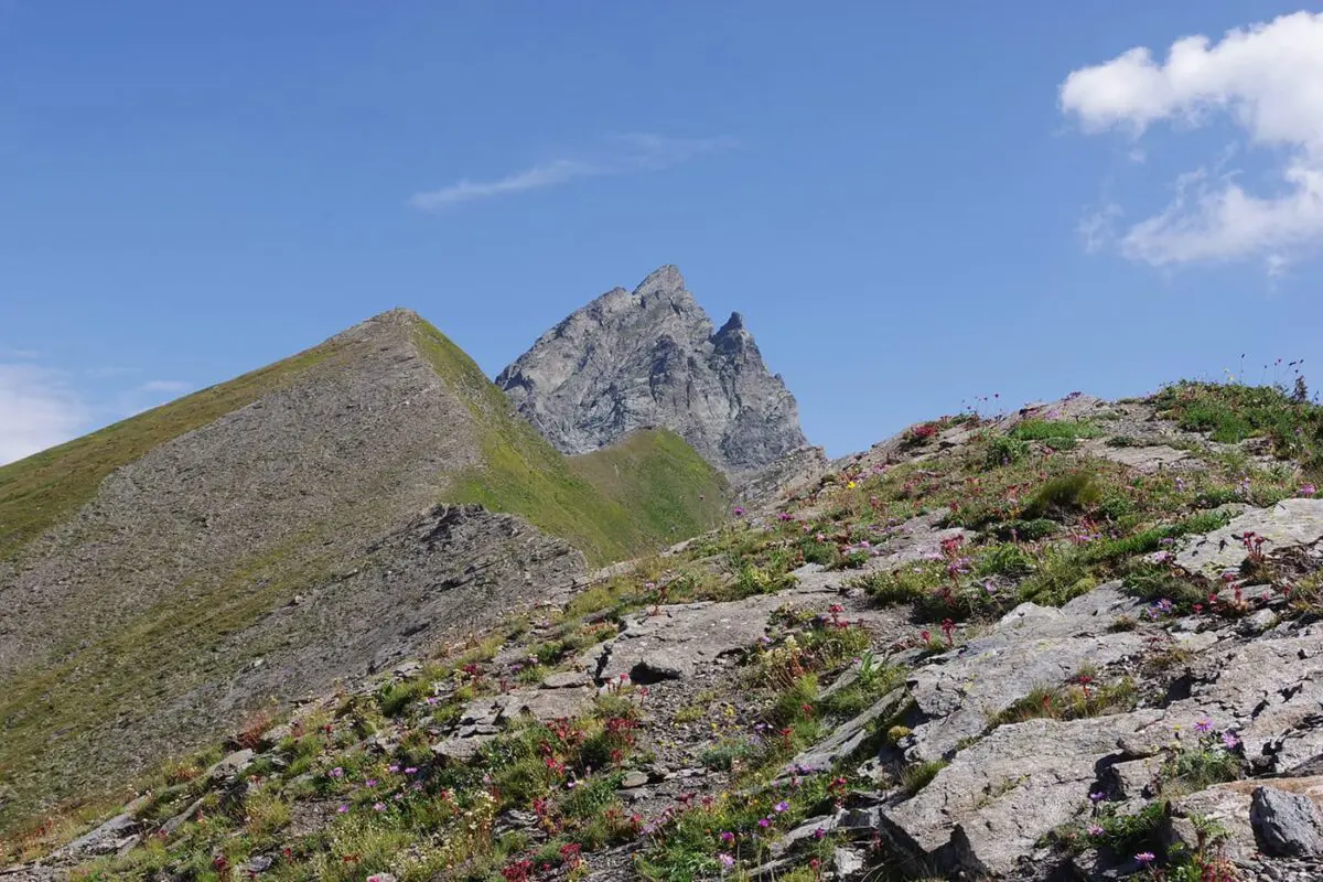 Mountains covered in grass