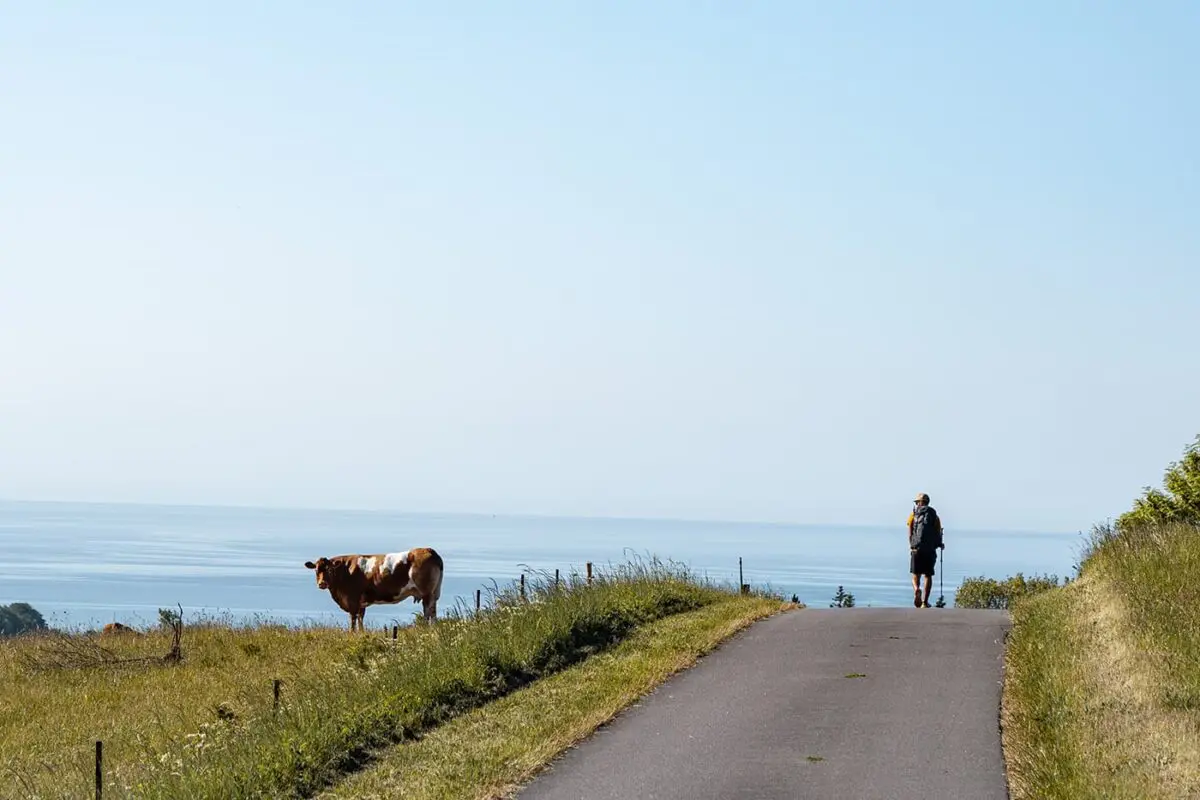 man hiking towards body of water