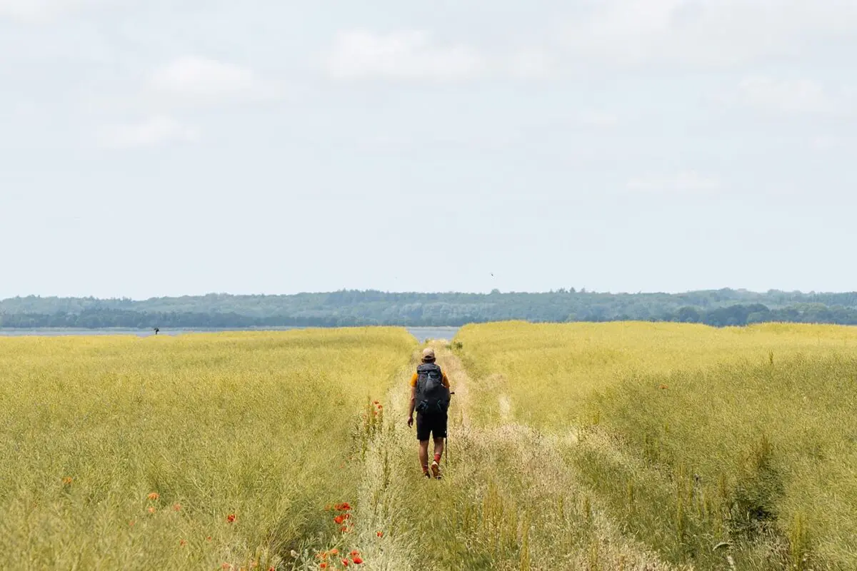 man hiking in grassy field