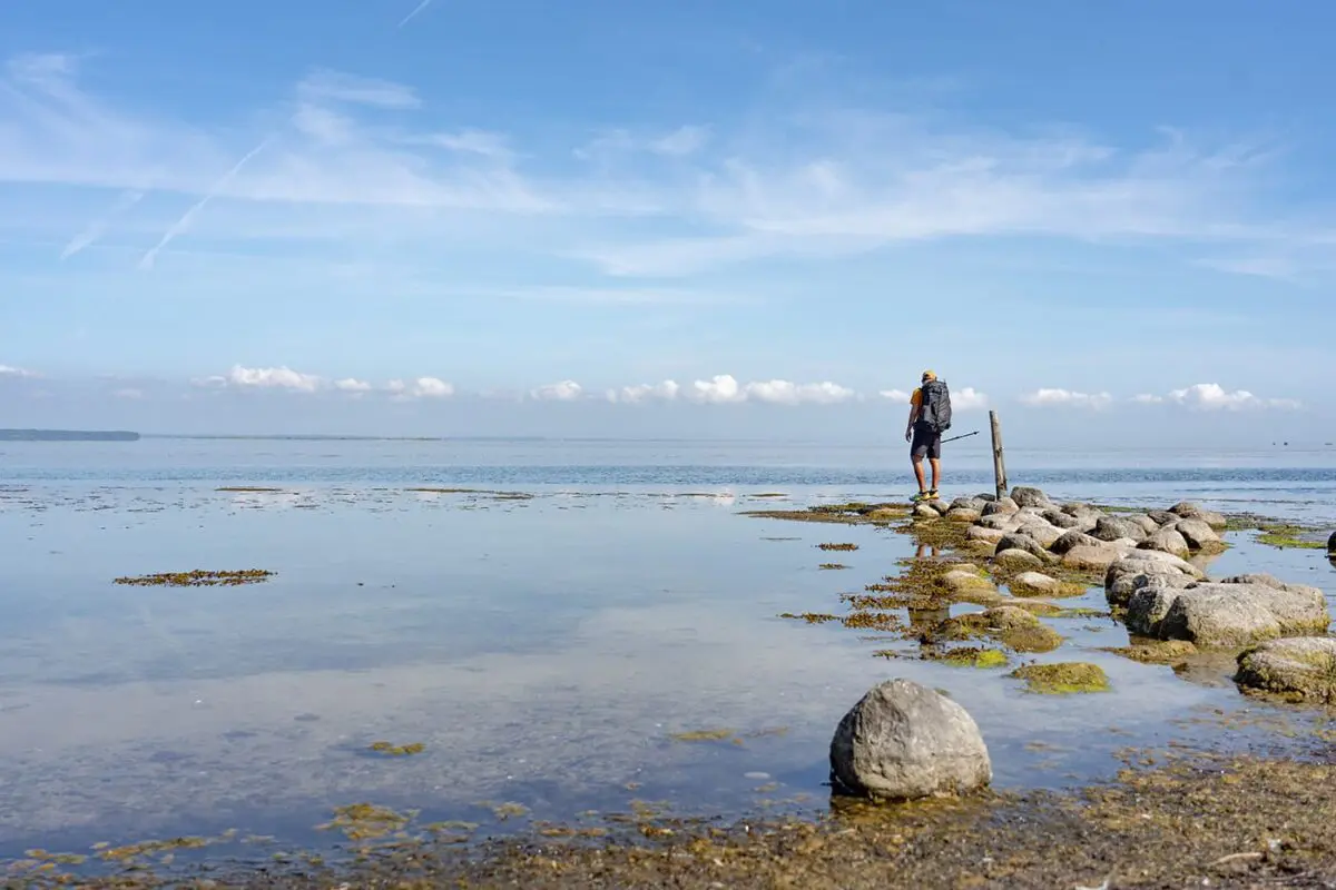 man standing on rock looking out over body of water