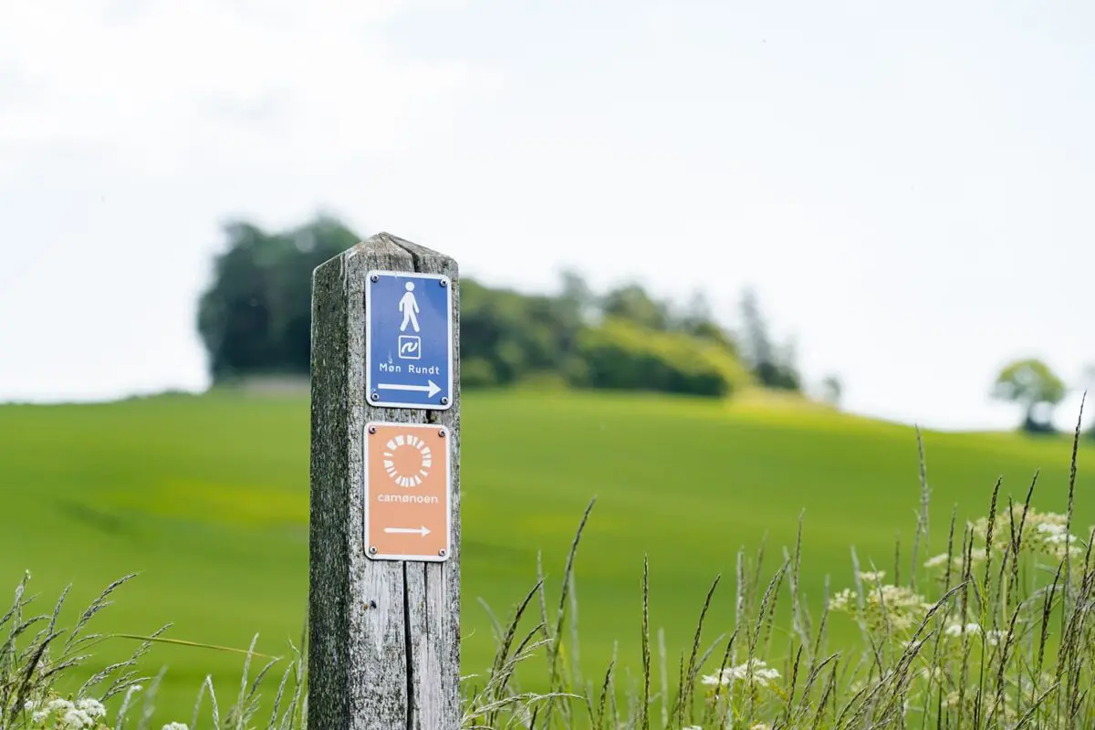 way sign on wooden pole in green landscape