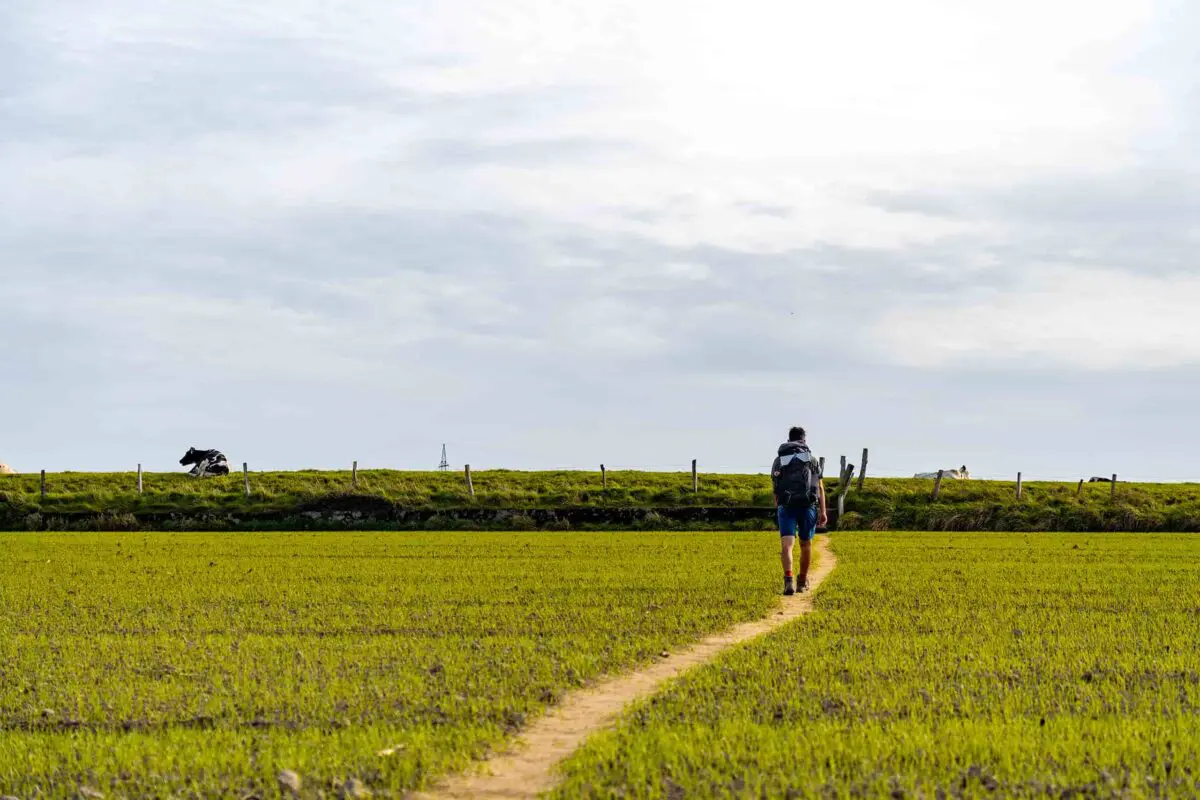 man hiking through grassy field