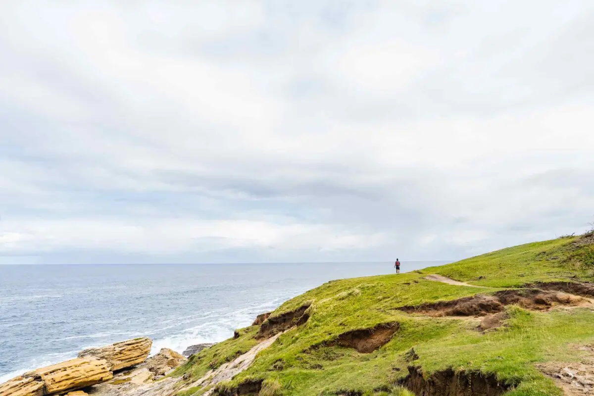 grassy landscape near the sea