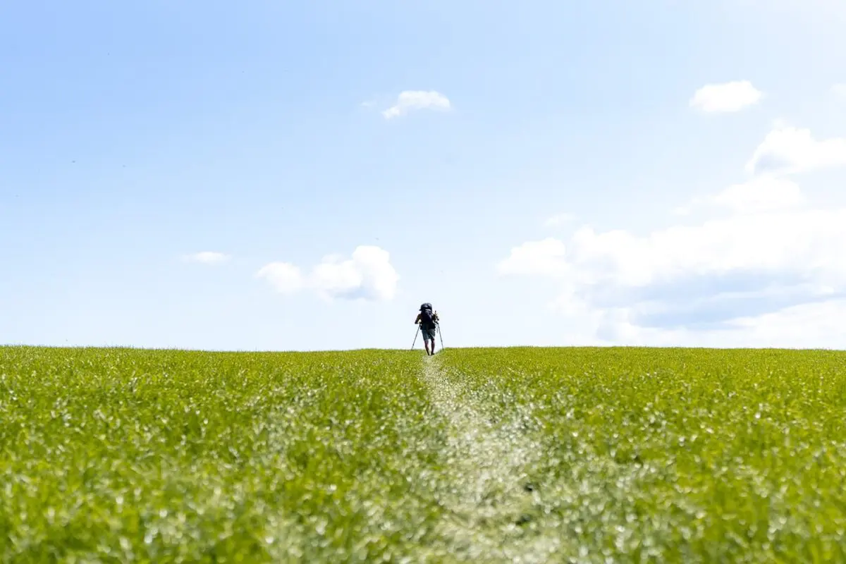 person hiking in grassy field