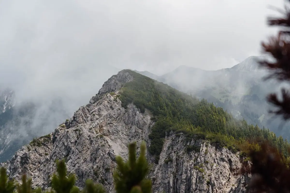 mountain peak with green trees on it