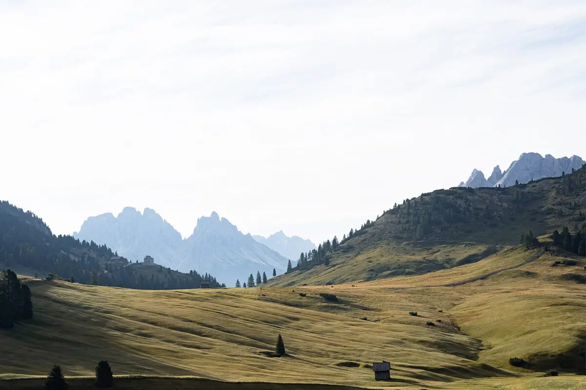 Rolling green hills with mountains in the background