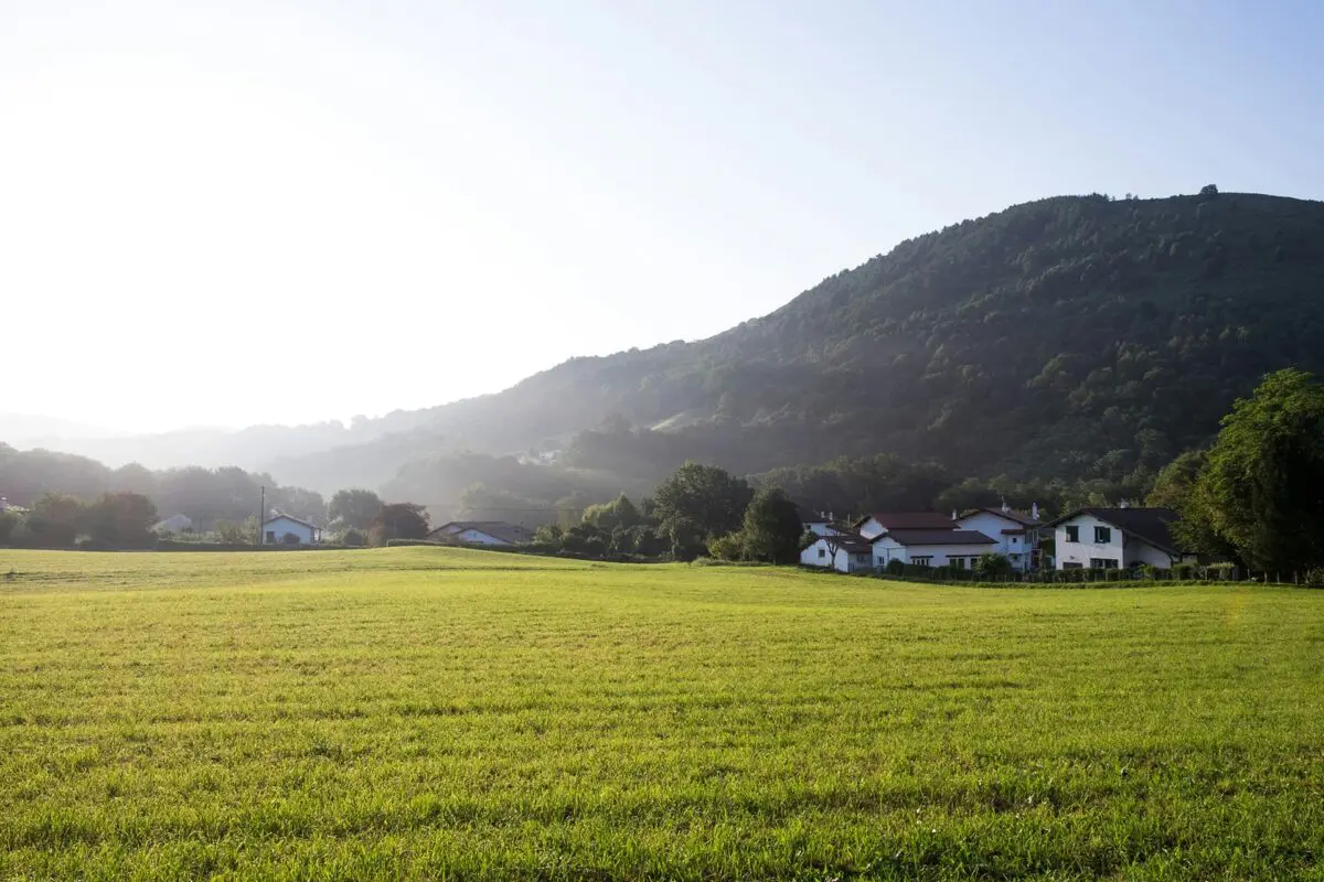 green fields white houses in countryside