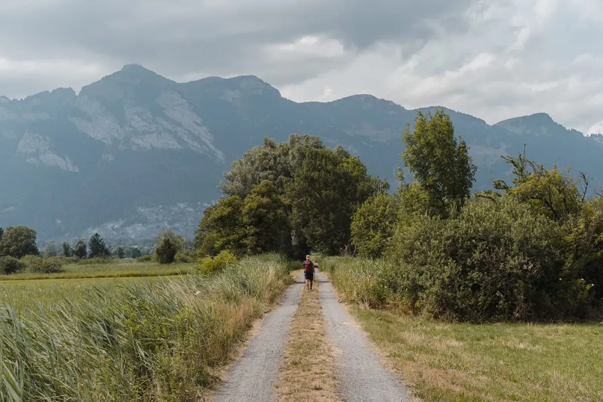 man hiking on unpaved path in green landscape