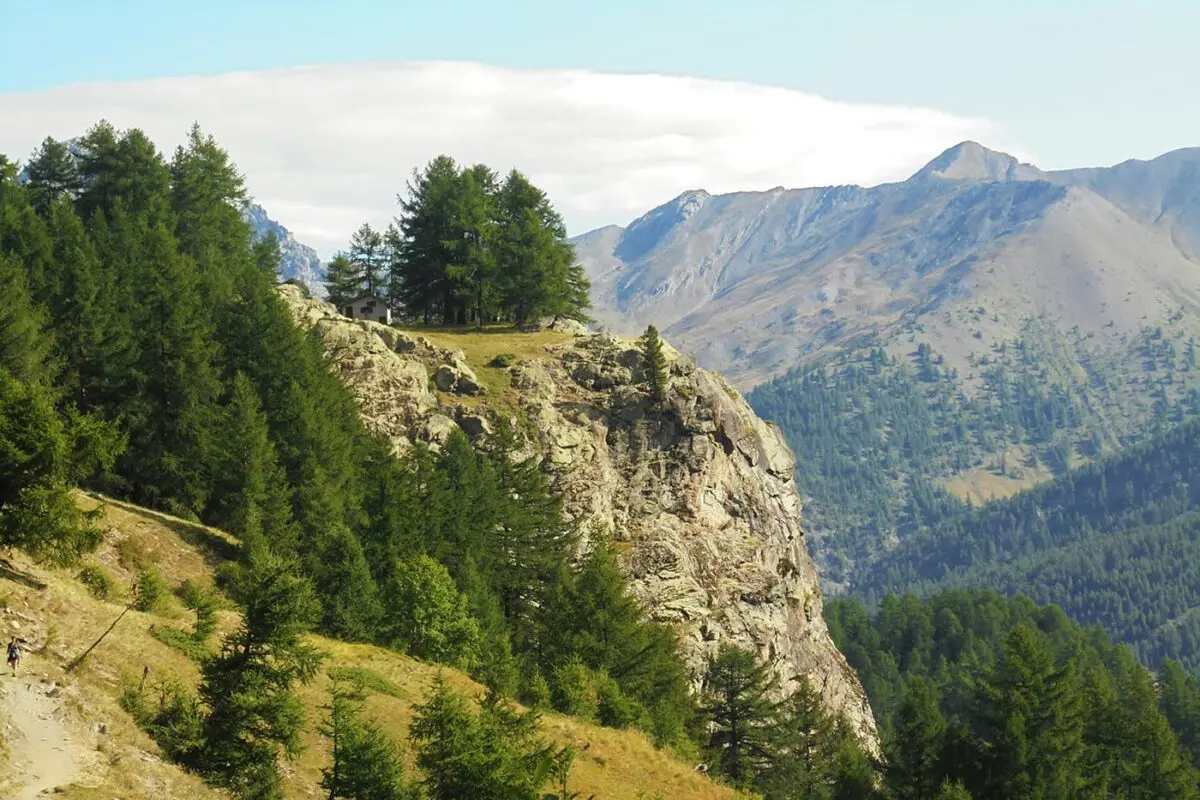 house of mountain peak surrounded by trees