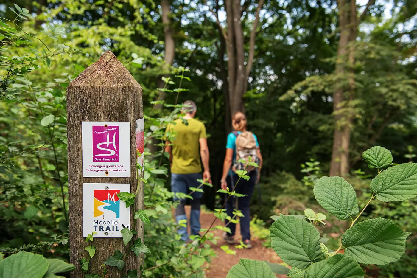 two persons walking on forest path