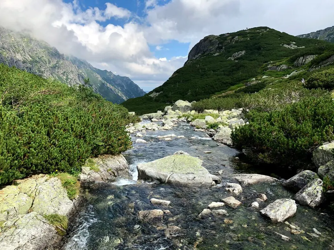 river flowing through green landscape