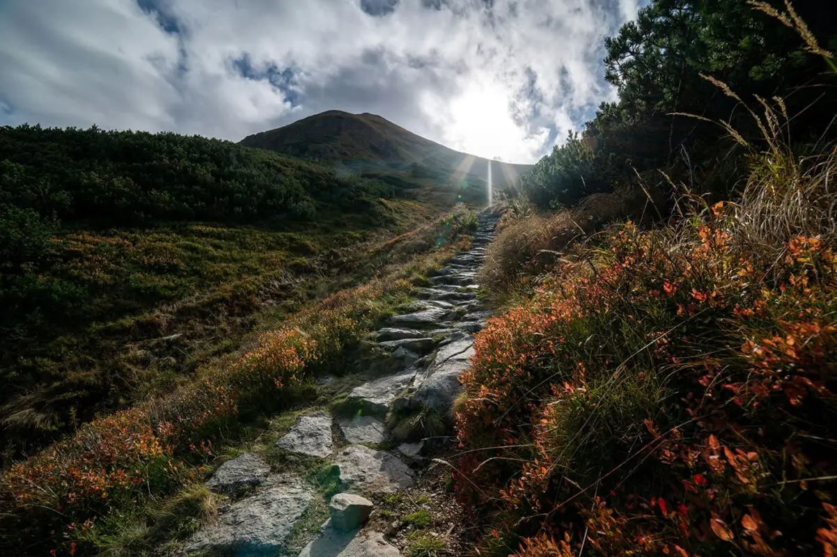 stone foot path leading up to a hill