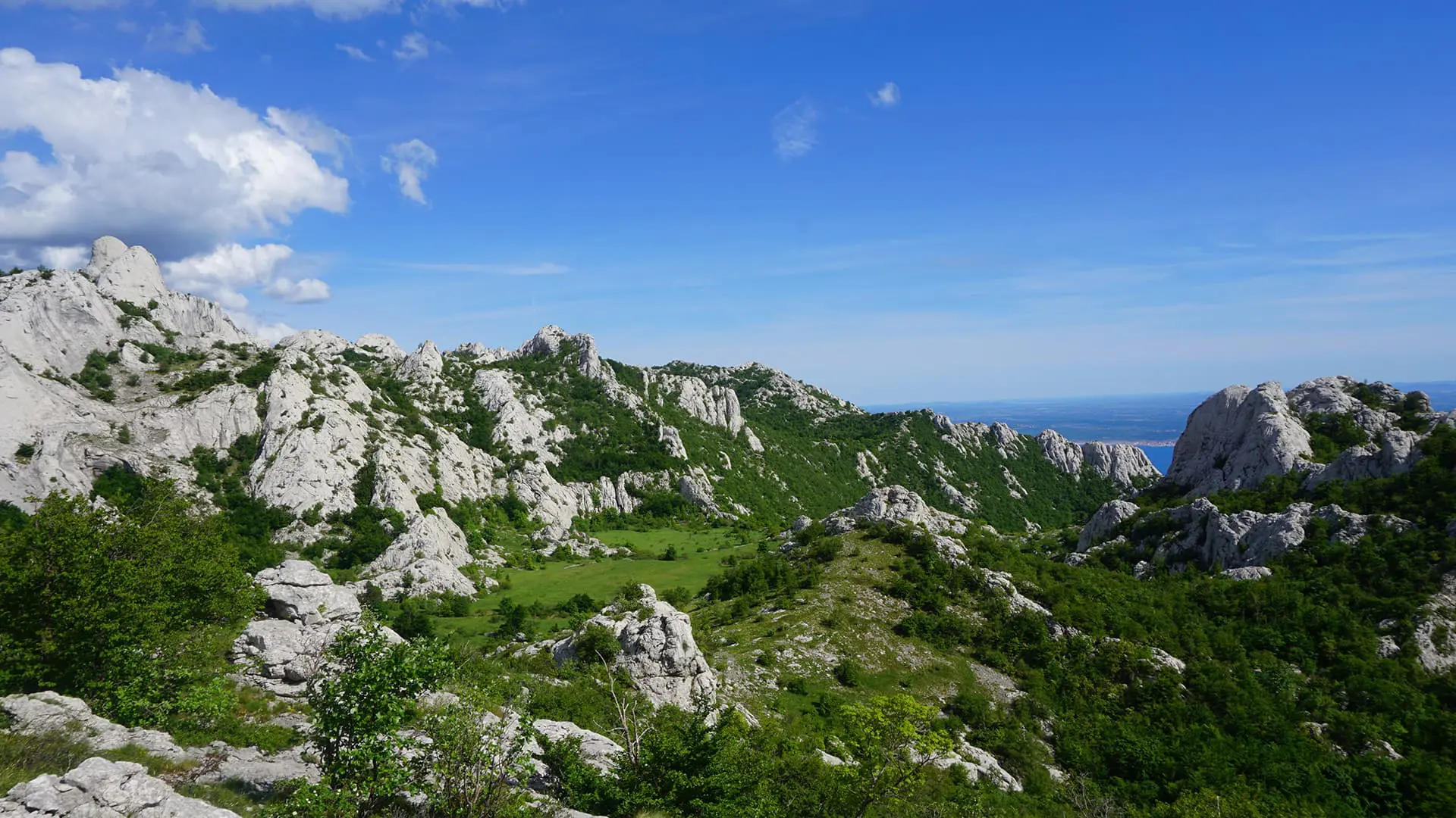 White rocks and grassy fields in mountains