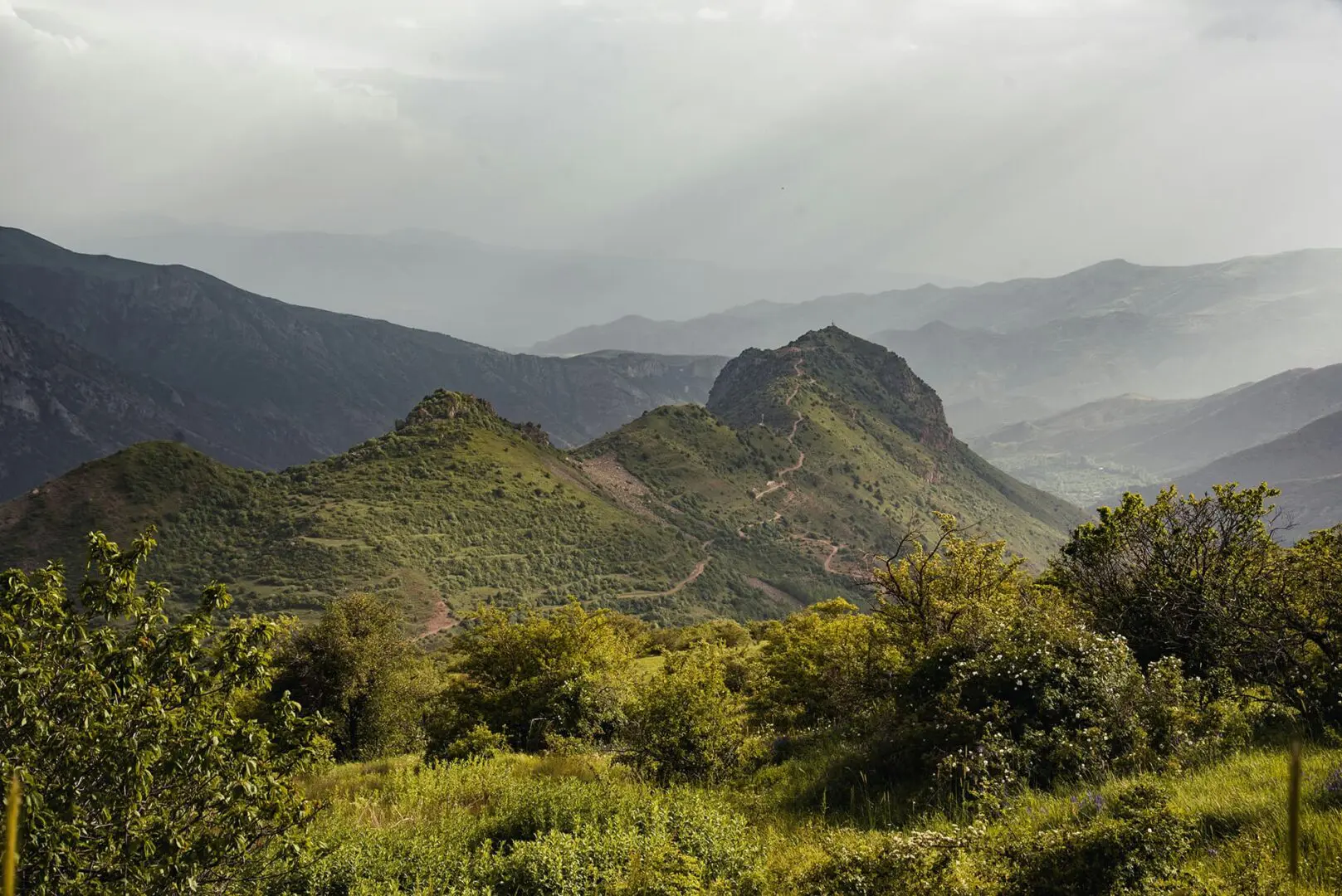 lush green landscape with mountains in the background