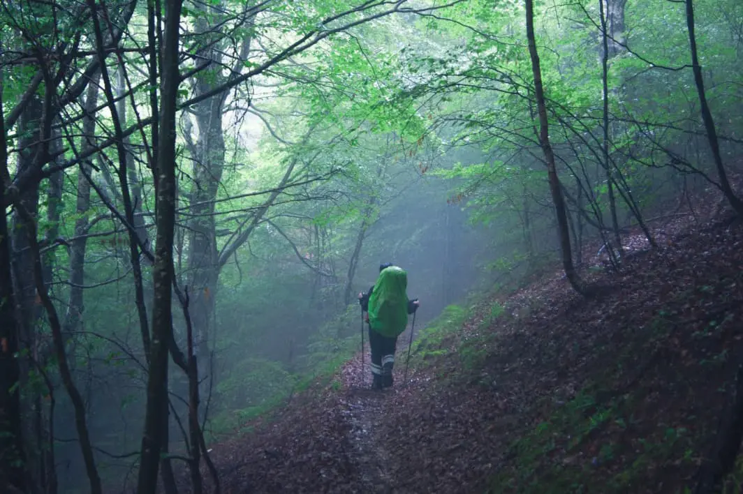 person walking in the rain on forest path