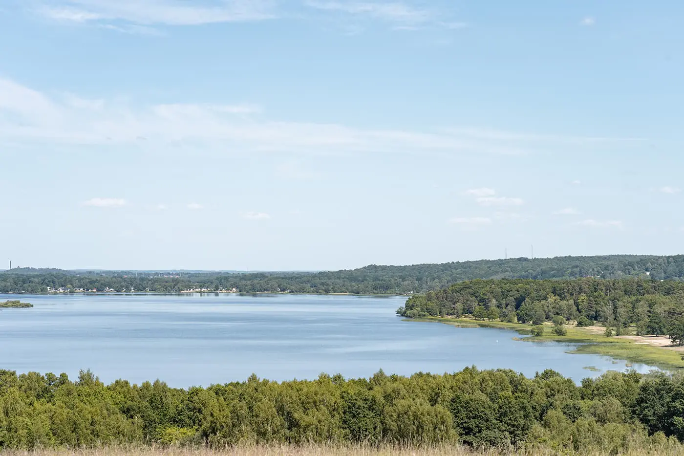 panoramic view of body of water near forest