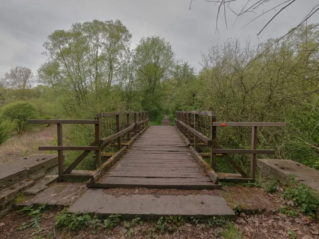 Wooden bridge leading to forest path in cloudy weather