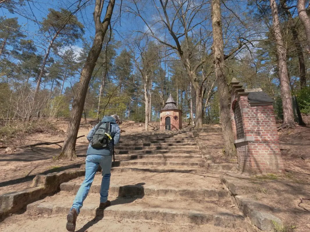 Person walking up stone stairs in surrounded by trees