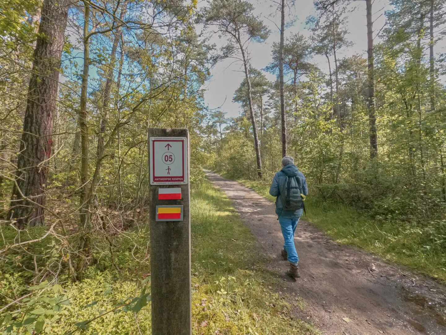 Person hiking on forest path with way sign in the foreground