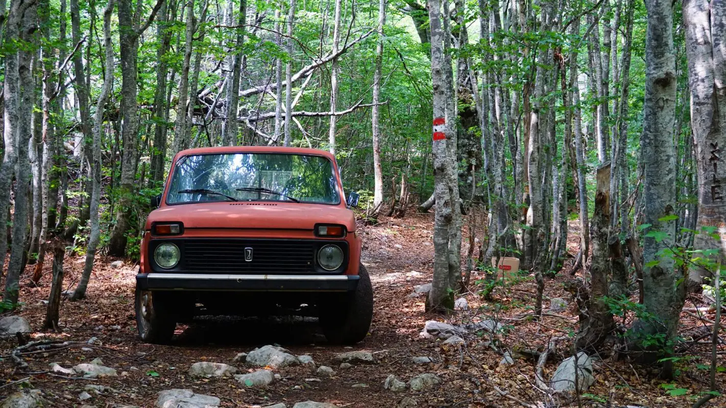 Deserted car in middle of the forest