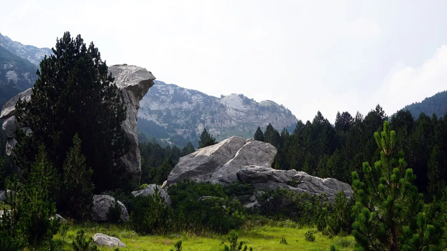 Big rocks in grassy field on cloudy day