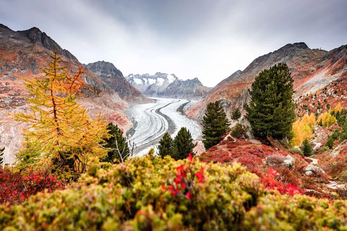 view of glacier with colorful autumn colors