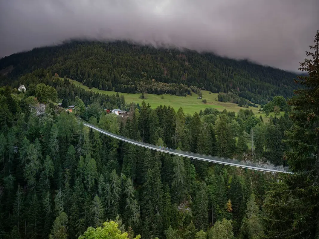 suspension bridge in lush green landscape