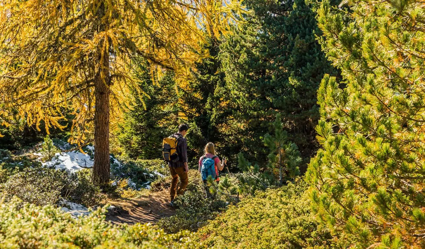 man and women hiking in forest