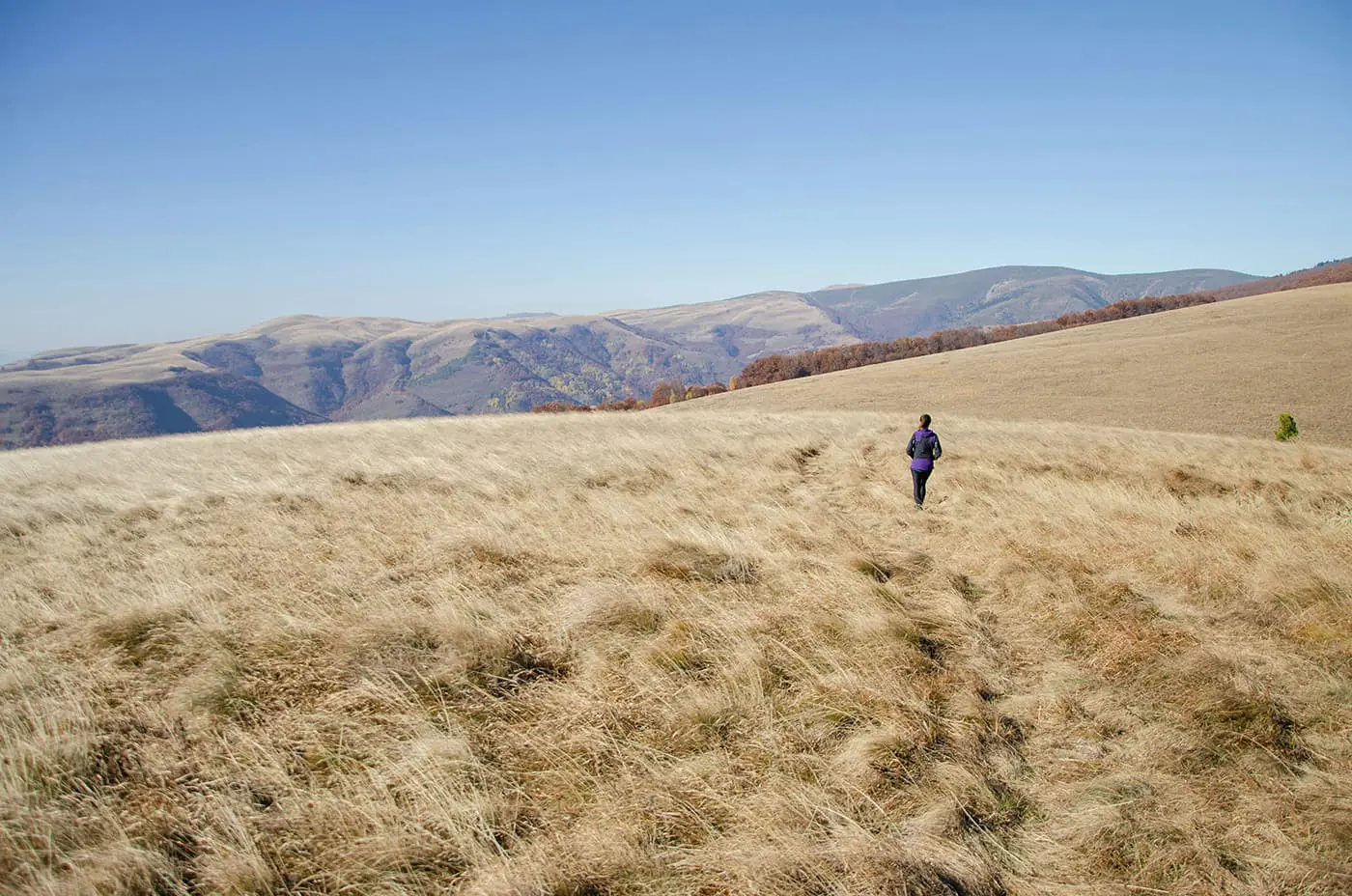 women hiking in grassy field