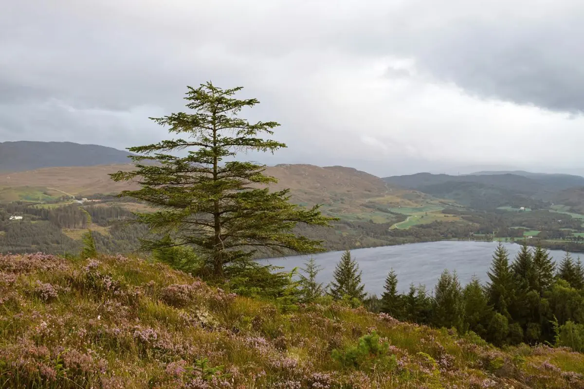 view of Scottish loch from hilltop