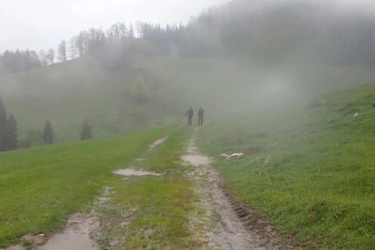 two persons hiking in the mist on unpaved path