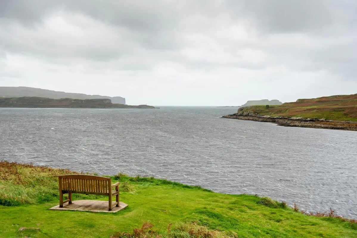 wooden bench near body of water