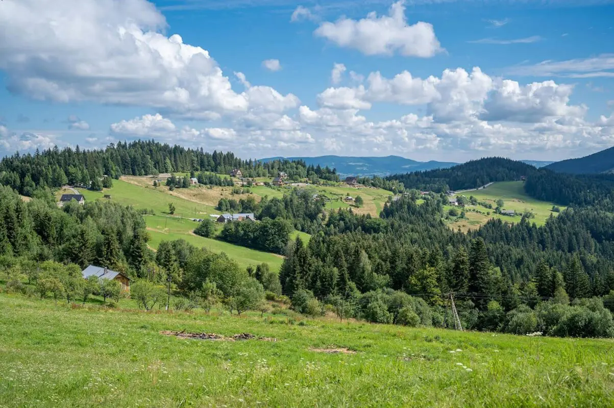 lush green landscape in Polish countryside