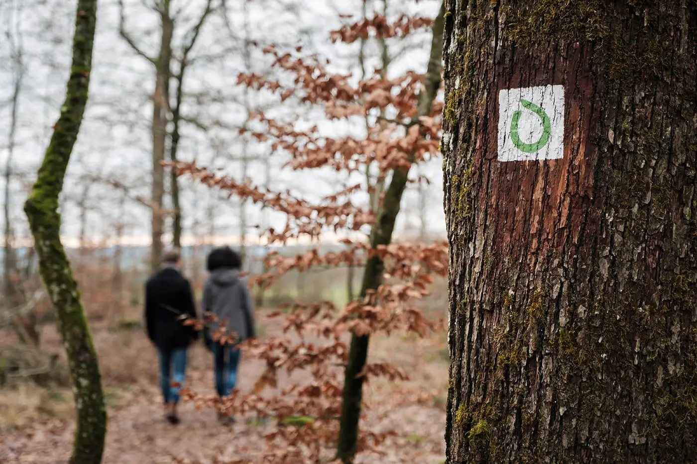trail sign on tree