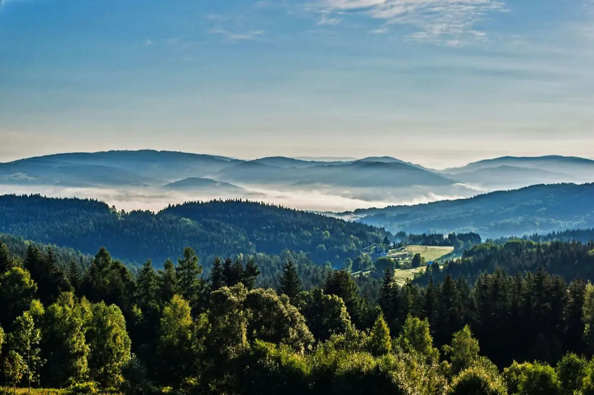 panoramic view of green countryside