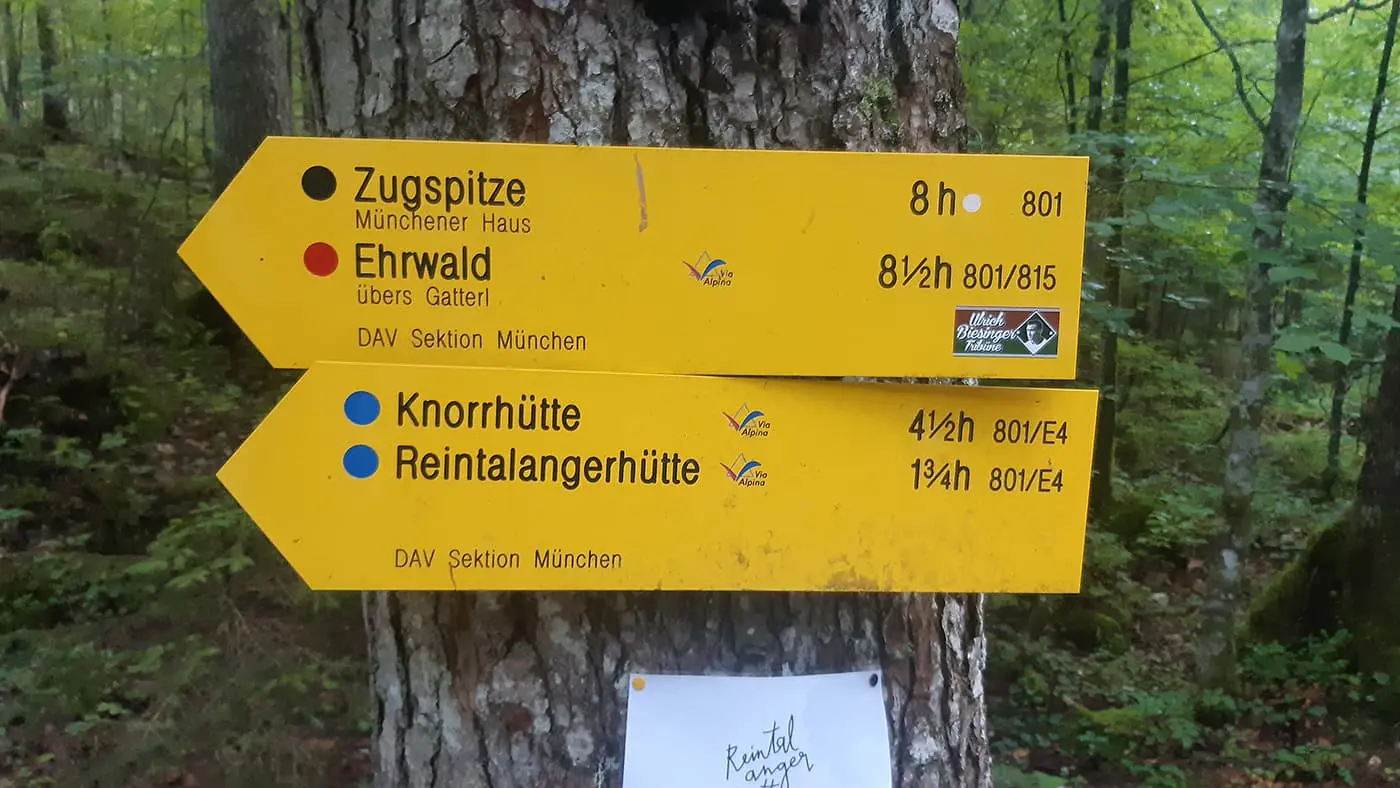 yellow way sign in forest