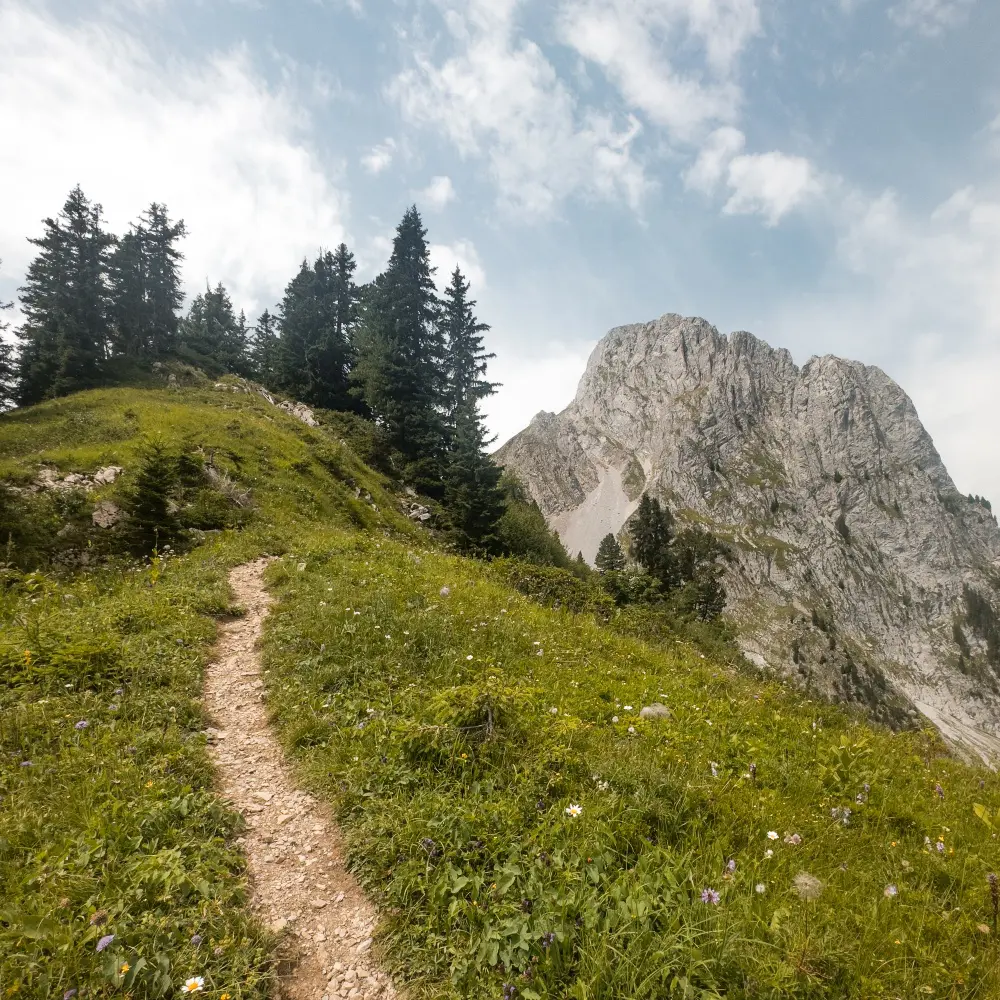 Hiking Trail