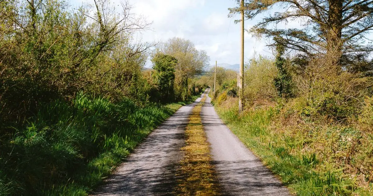 A gravel two track road on the Kerry Way