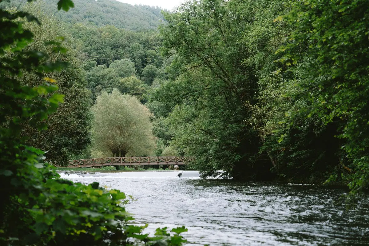 A tranquil river flowing under a bridge on the Lee Trail